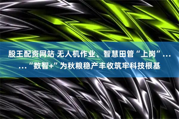 股王配资网站 无人机作业、智慧田管“上岗”……“数智+”为秋粮稳产丰收筑牢科技根基