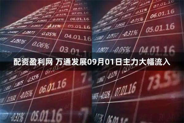 配资盈利网 万通发展09月01日主力大幅流入
