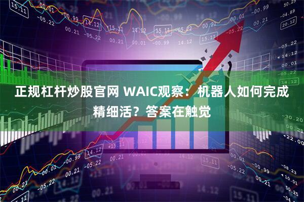 正规杠杆炒股官网 WAIC观察：机器人如何完成精细活？答案在触觉